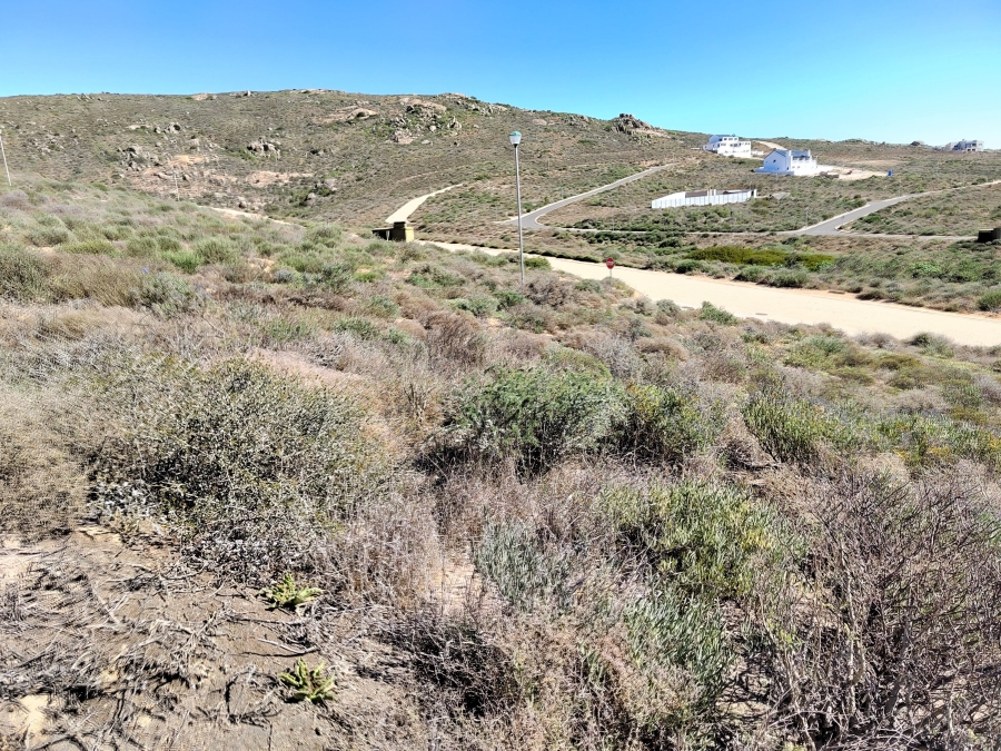 0 Bedroom Property for Sale in Steenbergs Cove Western Cape